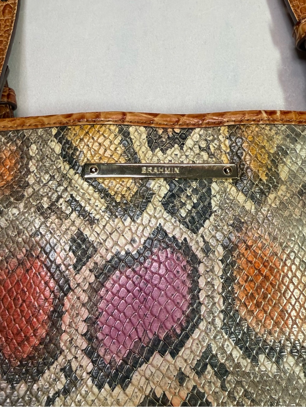 Brahmin Medium Asher Tote Bag in a Multi-Color Python Printed Leather - Picture 2 of 12
